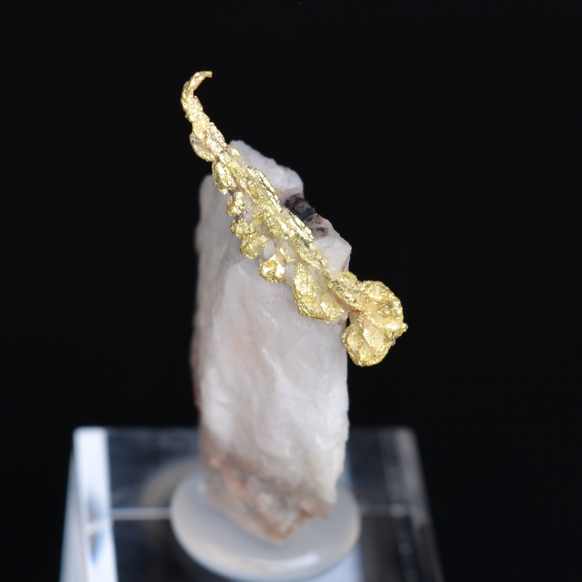 Cristallized gold on quartz - Aouint Ighoumane, Guelmim-Oued Noun region, Morocco