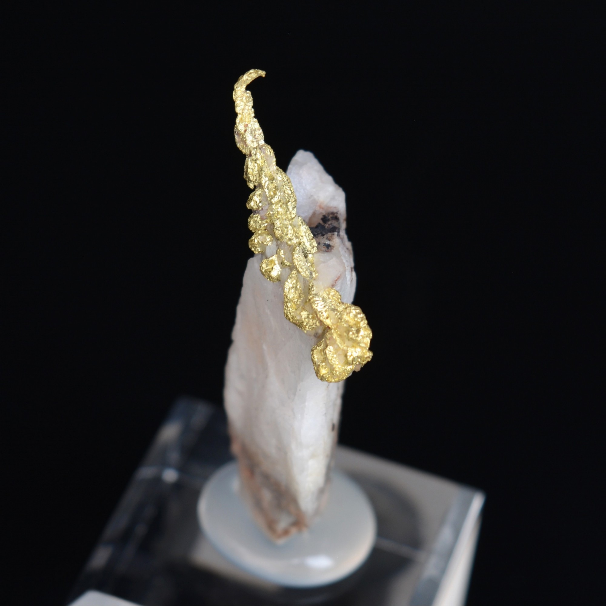 Cristallized gold on quartz - Aouint Ighoumane, Guelmim-Oued Noun region, Morocco