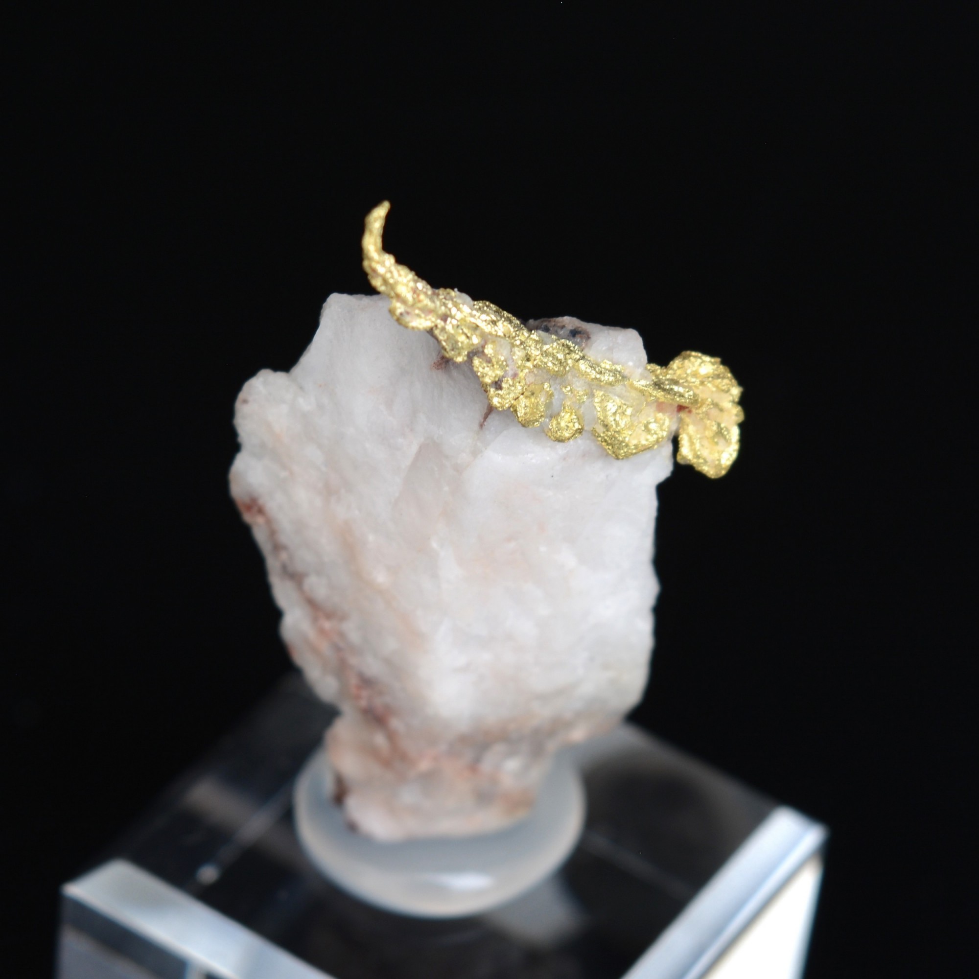 Or cristallisé sur quartz - Aouint Ighoumane, Région de Guelmim-Oued Noun, Maroc