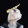 Cristallized gold on quartz - Aouint Ighoumane, Guelmim-Oued Noun region, Morocco