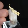 Cristallized gold on quartz - Aouint Ighoumane, Guelmim-Oued Noun region, Morocco