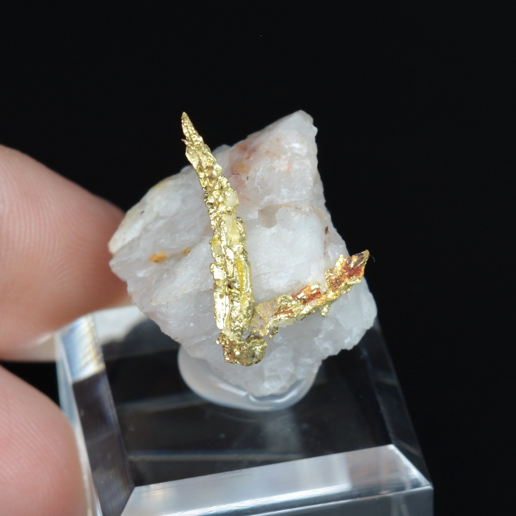 Cristallized gold on quartz - Aouint Ighoumane, Guelmim-Oued Noun region, Morocco