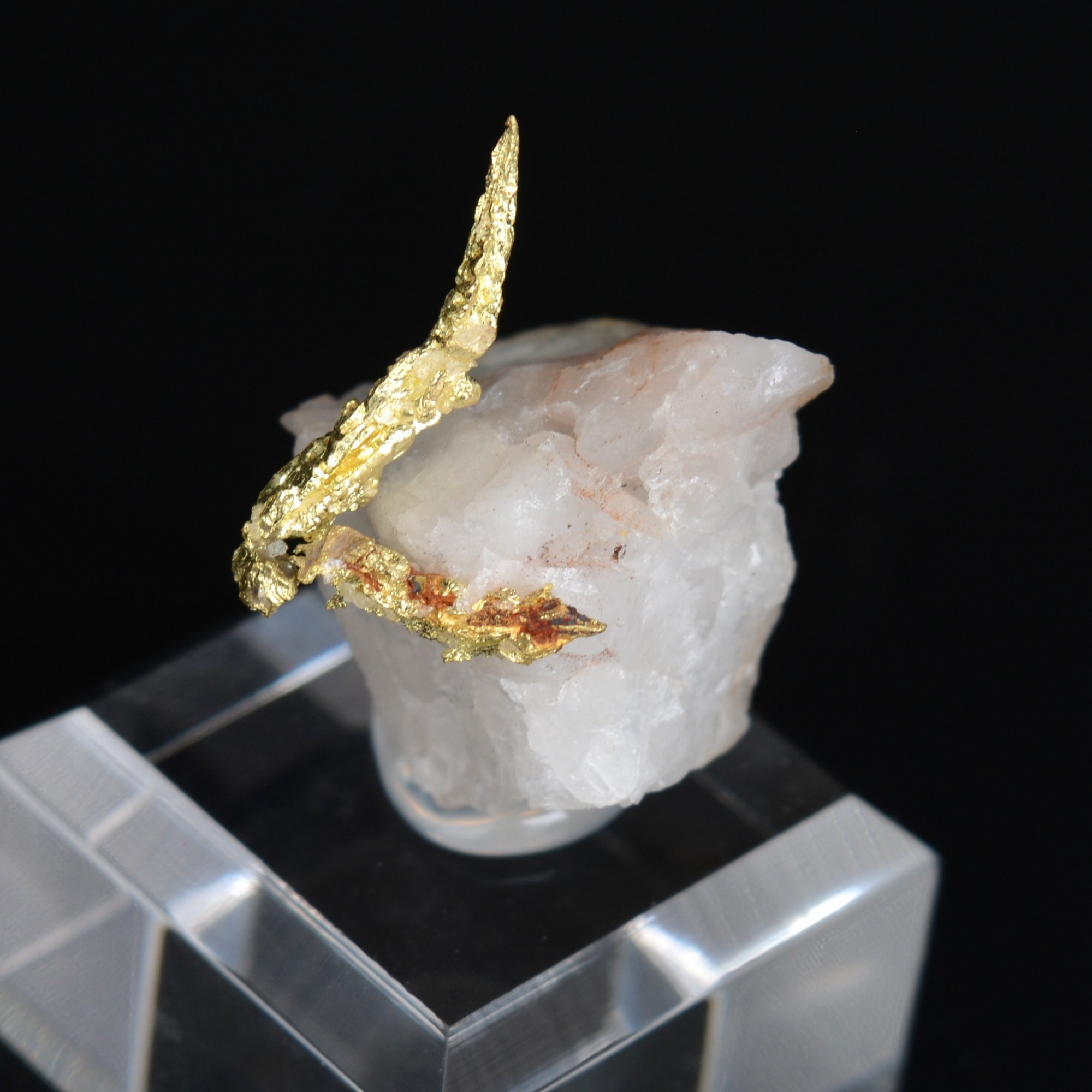 Cristallized gold on quartz - Aouint Ighoumane, Guelmim-Oued Noun region, Morocco