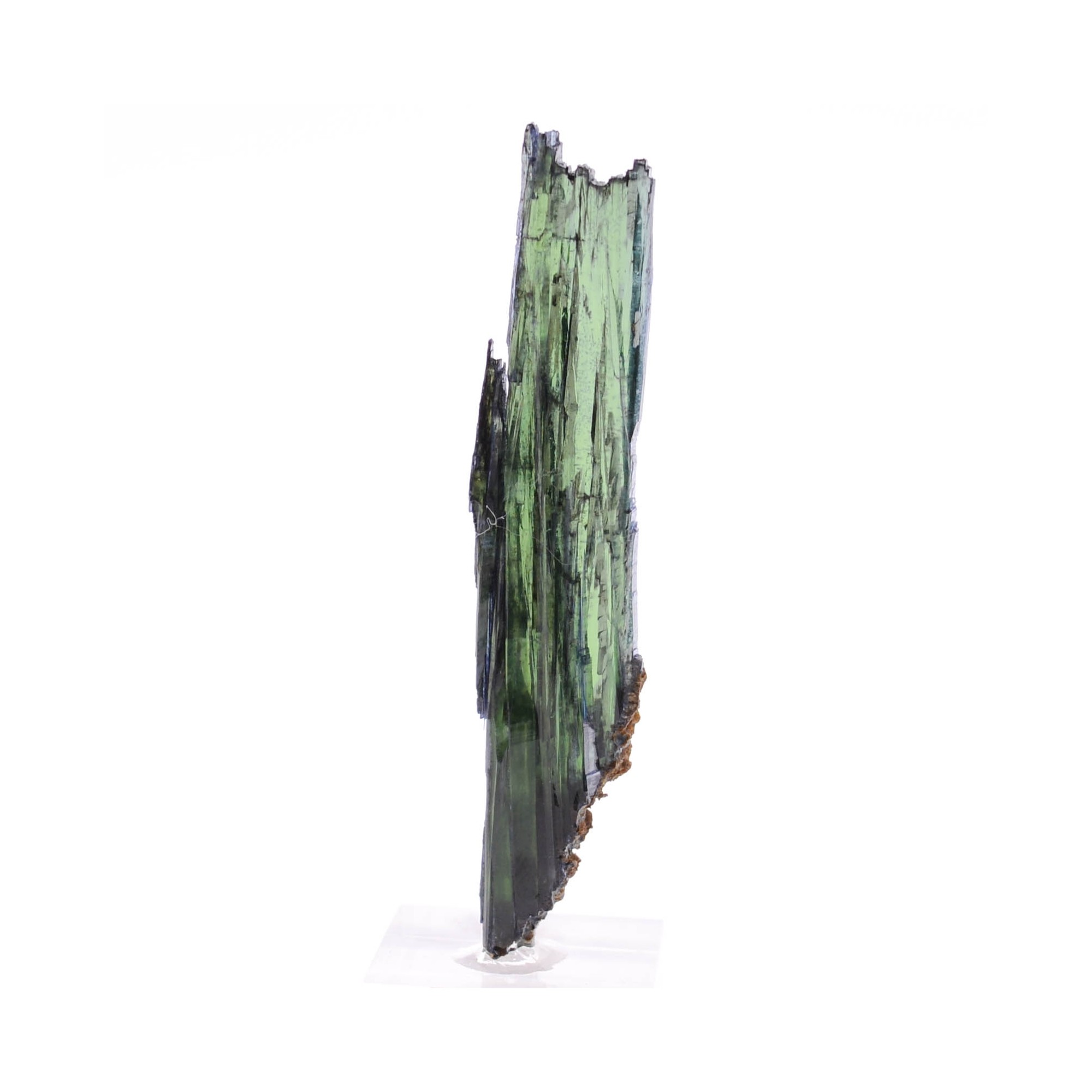 Vivianite, Mine Cabeza Do Cacchoro, Etat d'Amazonas, Brésil