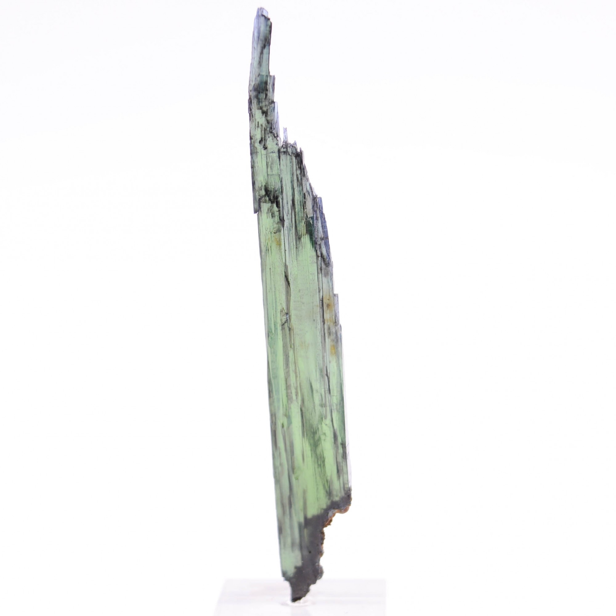 Vivianite, Mine Cabeza Do Cacchoro, Etat d'Amazonas, Brésil