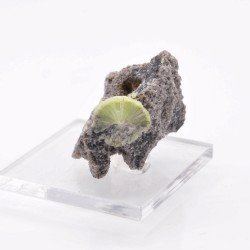 Wavellite - Mauldin, Arkansas, USA