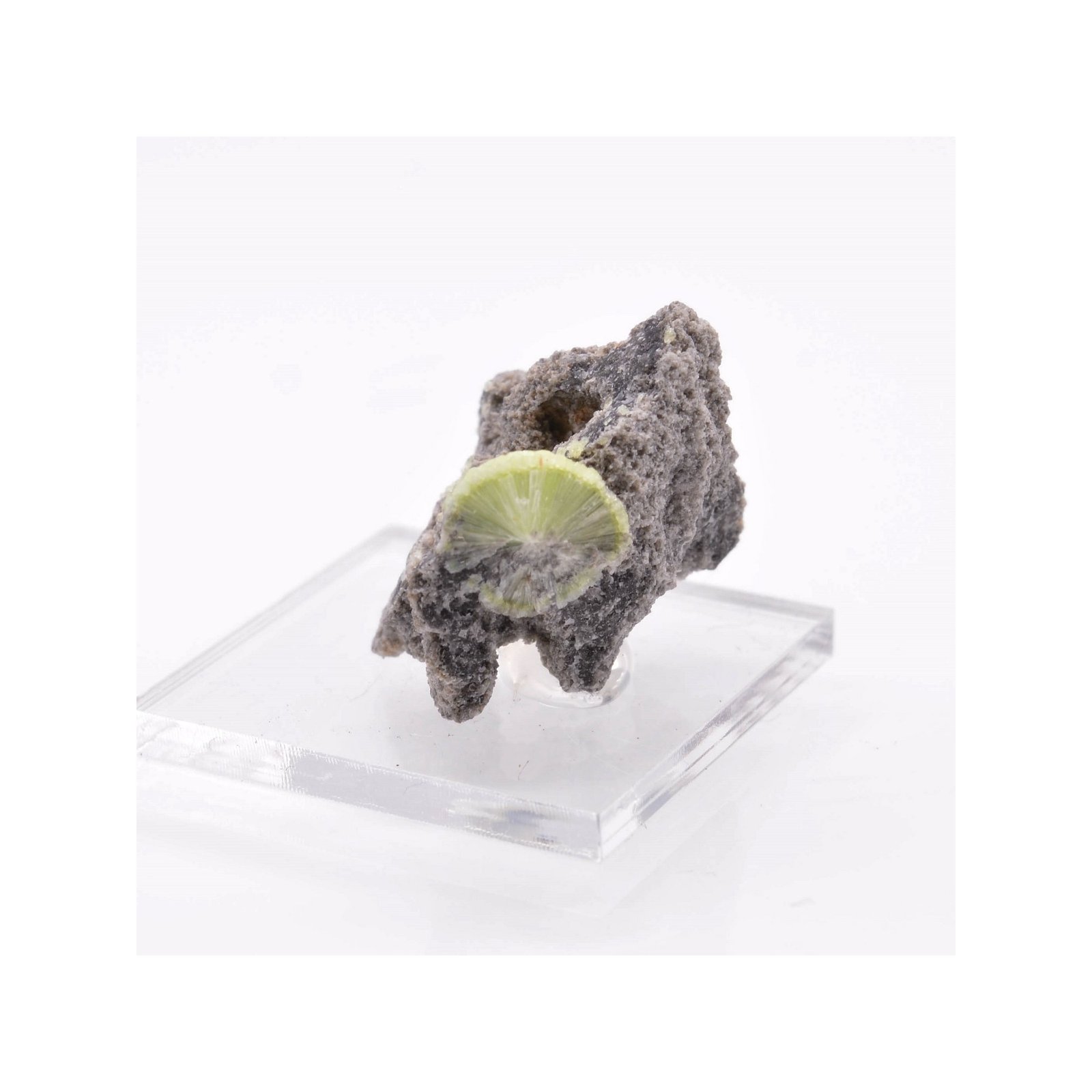 Wavellite - Mauldin, Arkansas, USA