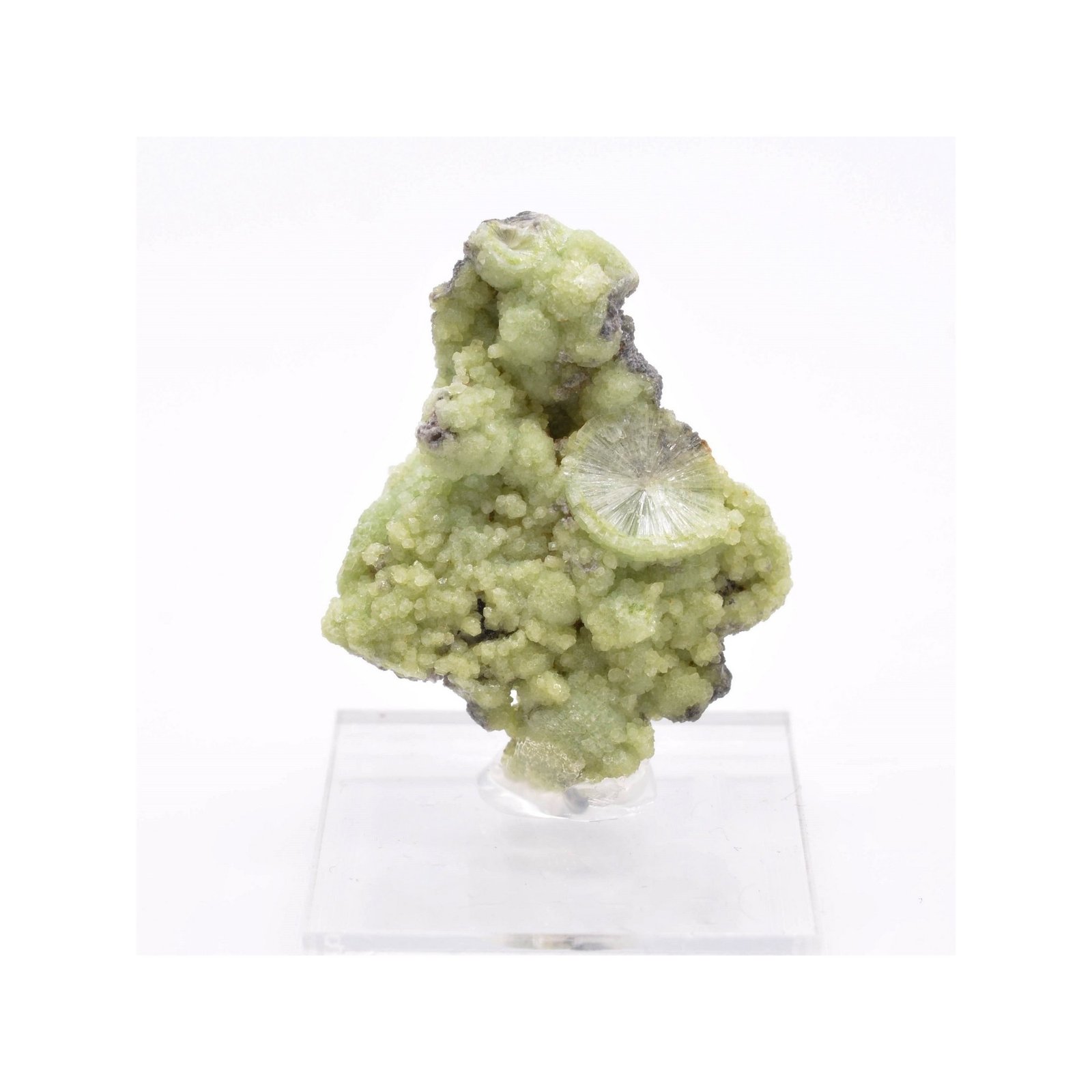 Wavellite - Mauldin, Arkansas, Etats-Unis