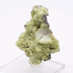 Wavellite - Mauldin, Arkansas, Etats-Unis