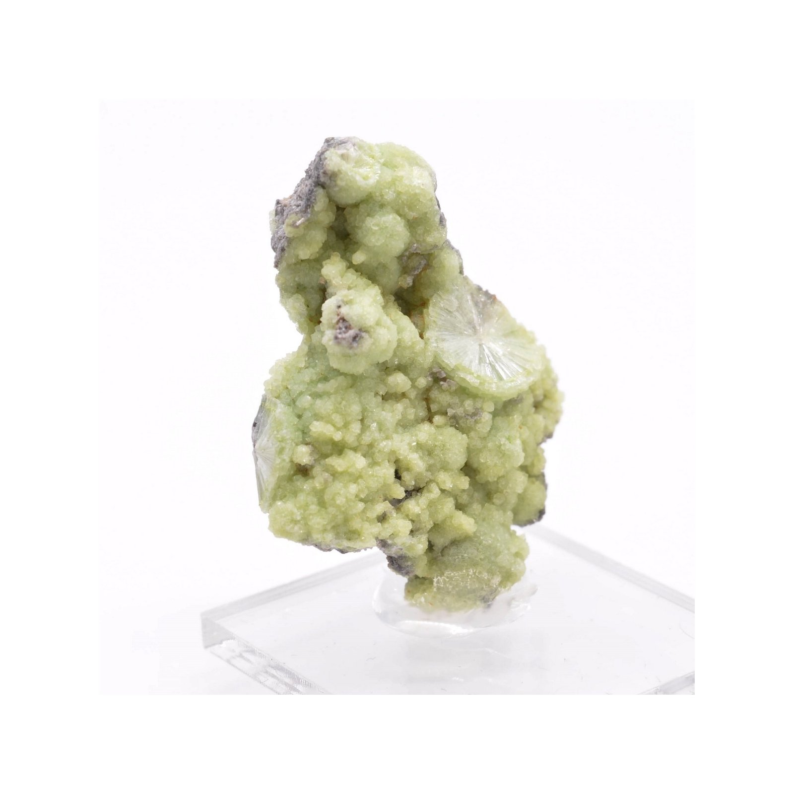 Wavellite - Mauldin, Arkansas, USA