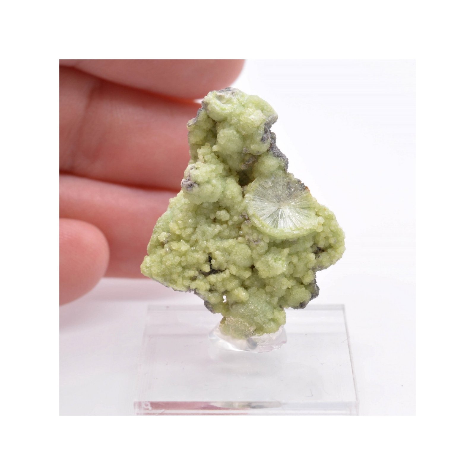 Wavellite - Mauldin, Arkansas, USA