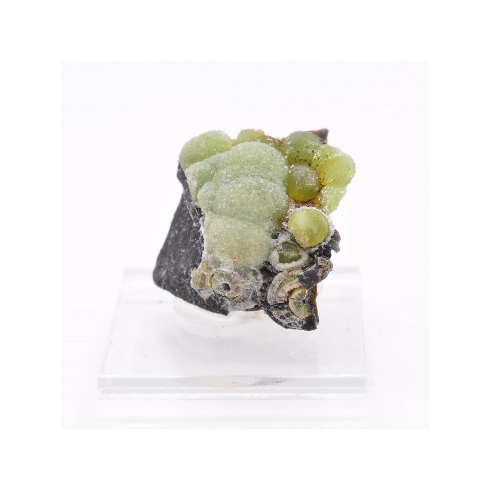 Wavellite - Mauldin, Arkansas, Etats-Unis