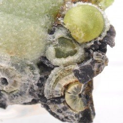 Wavellite - Mauldin, Arkansas, Etats-Unis