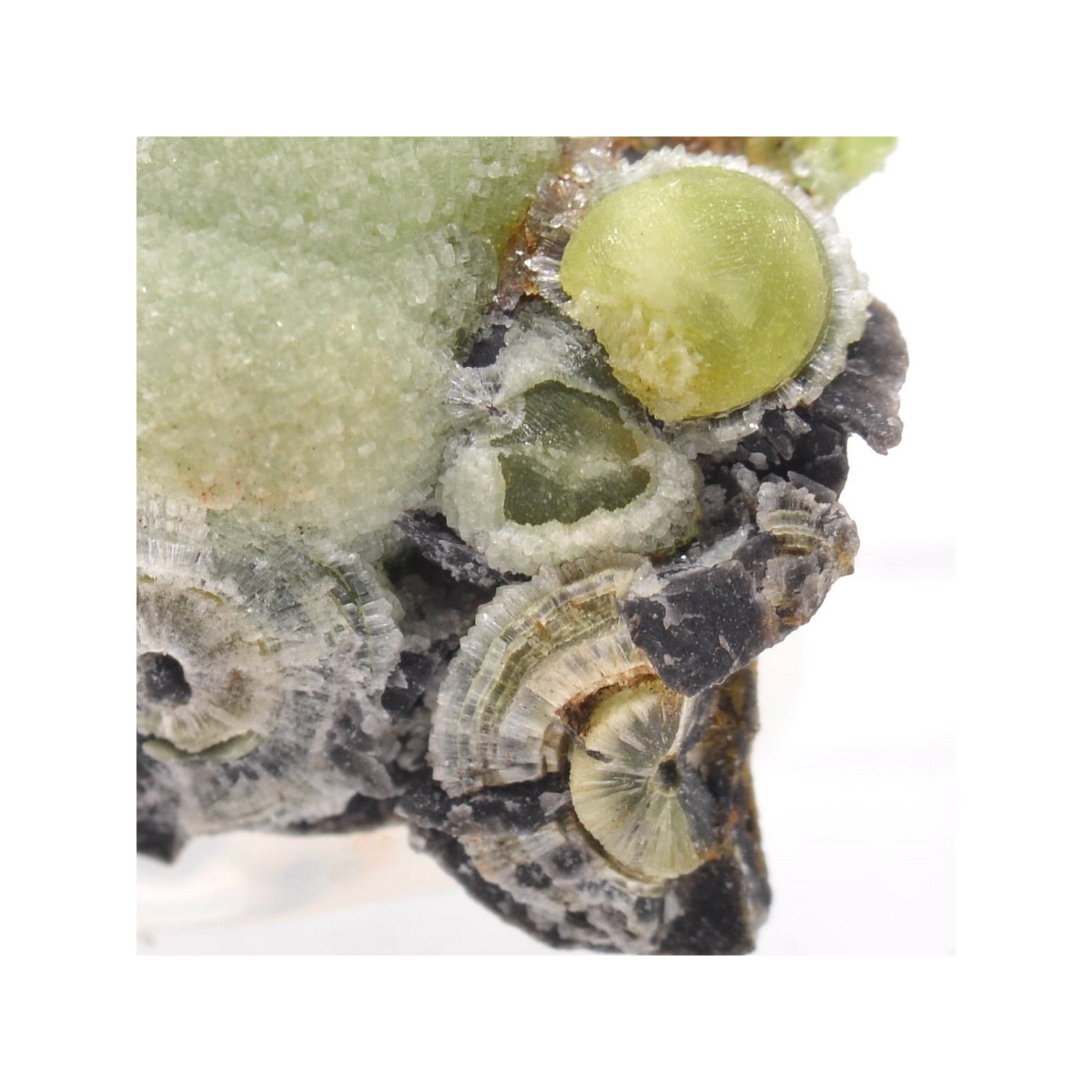 Wavellite - Mauldin, Arkansas, Etats-Unis