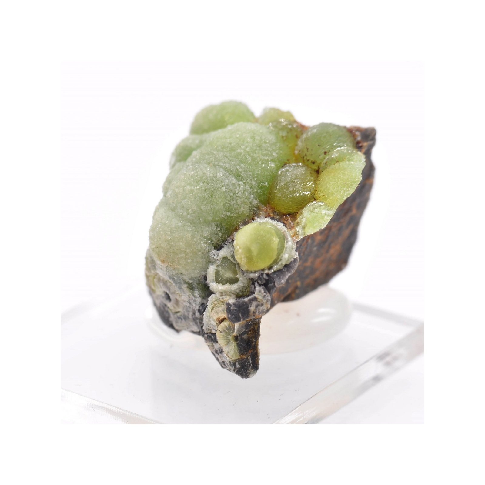 Wavellite - Mauldin, Arkansas, Etats-Unis