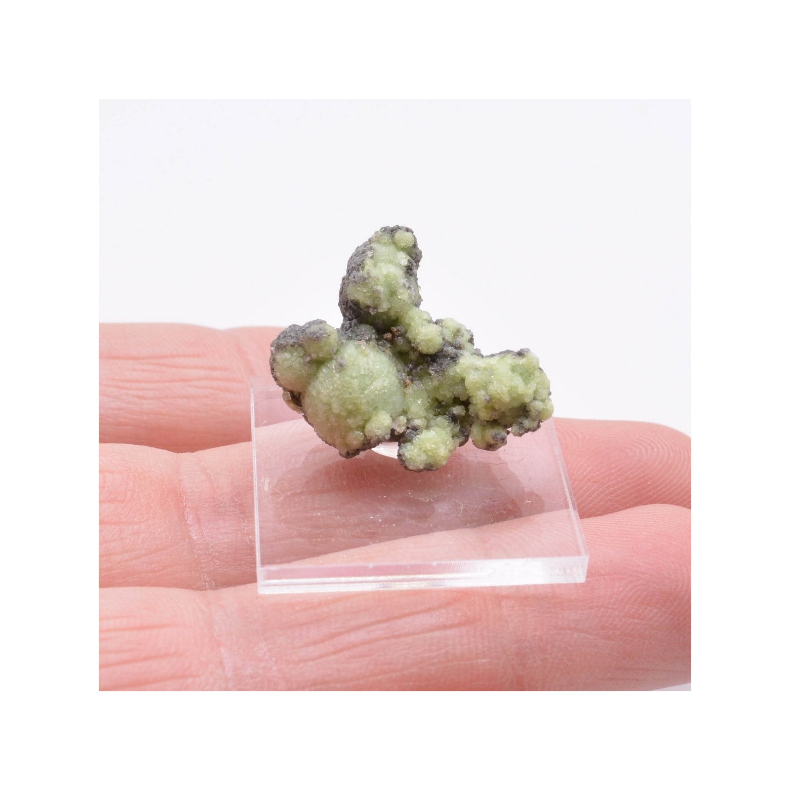 Wavellite - Mauldin, Arkansas, USA