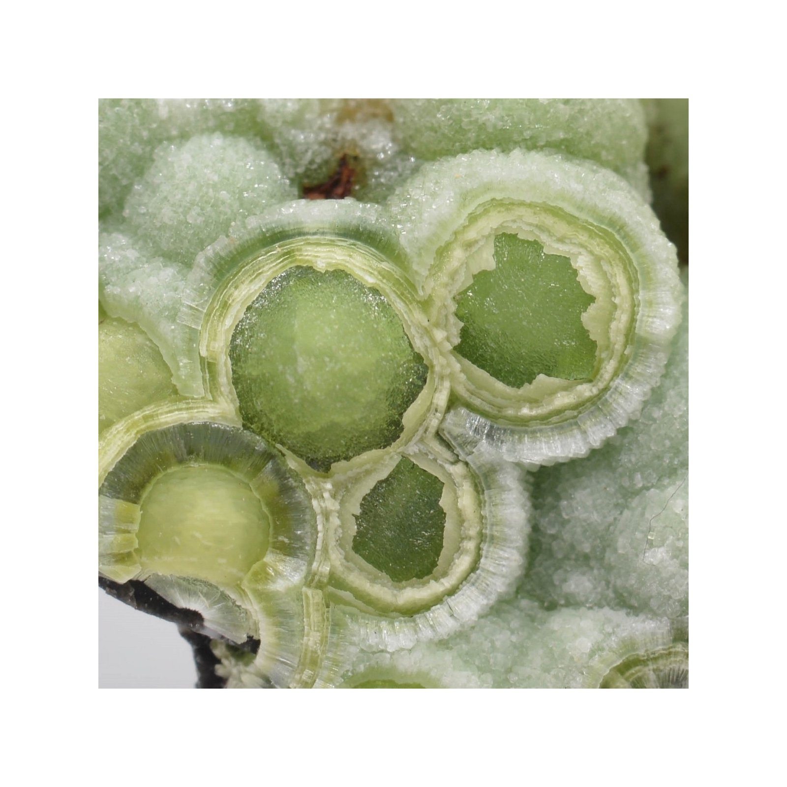 Wavellite - Mauldin, Arkansas, USA