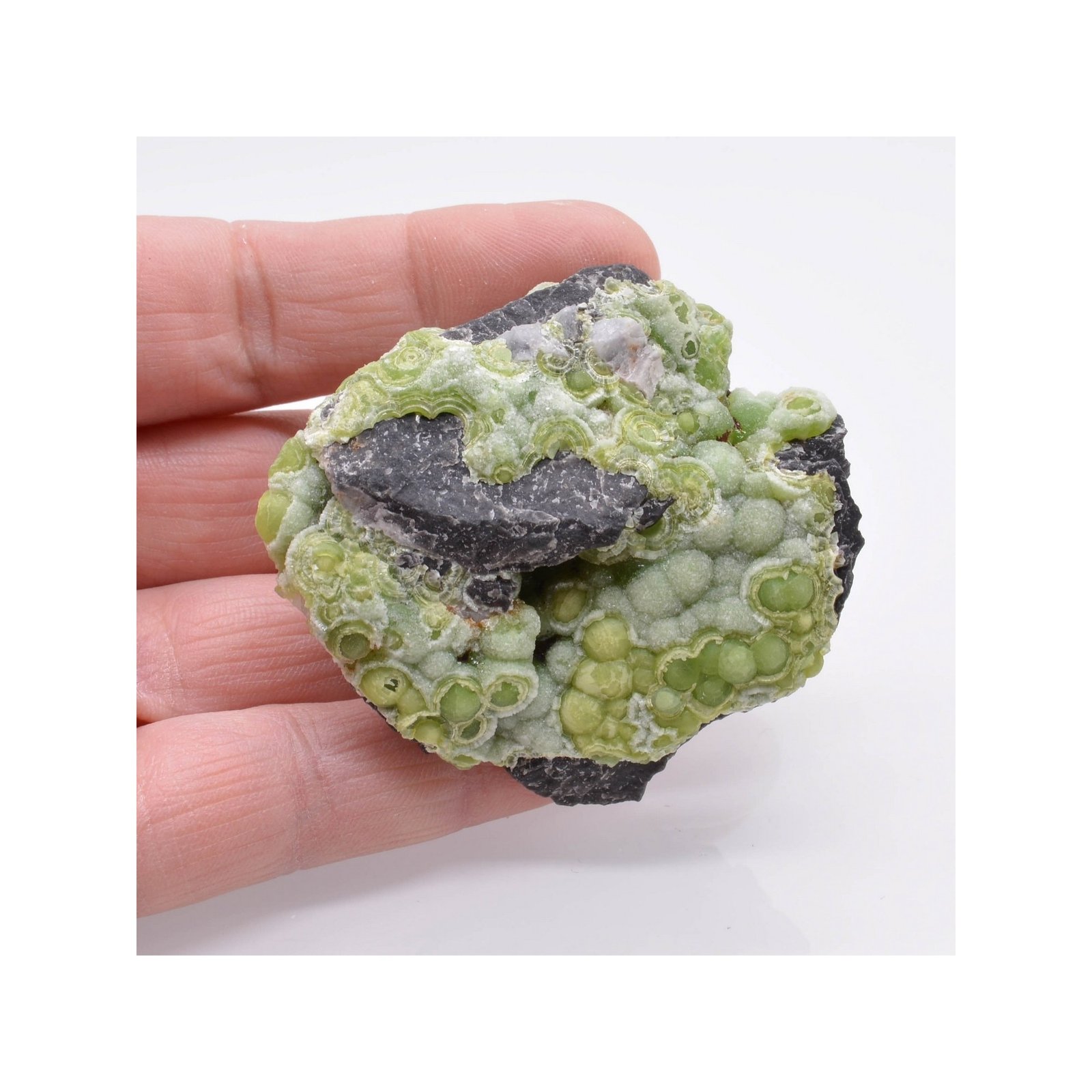 Wavellite - Mauldin, Arkansas, Etats-Unis