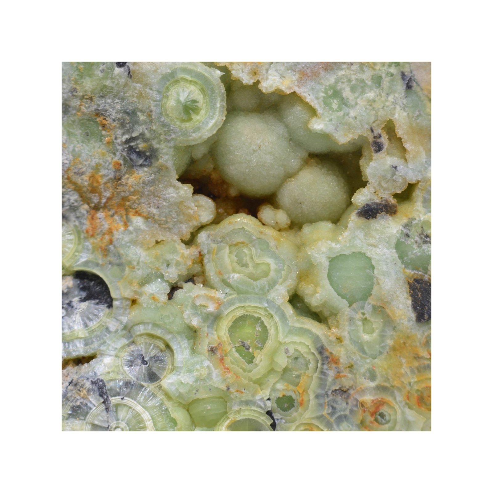 Wavellite - Mauldin, Arkansas, Etats-Unis