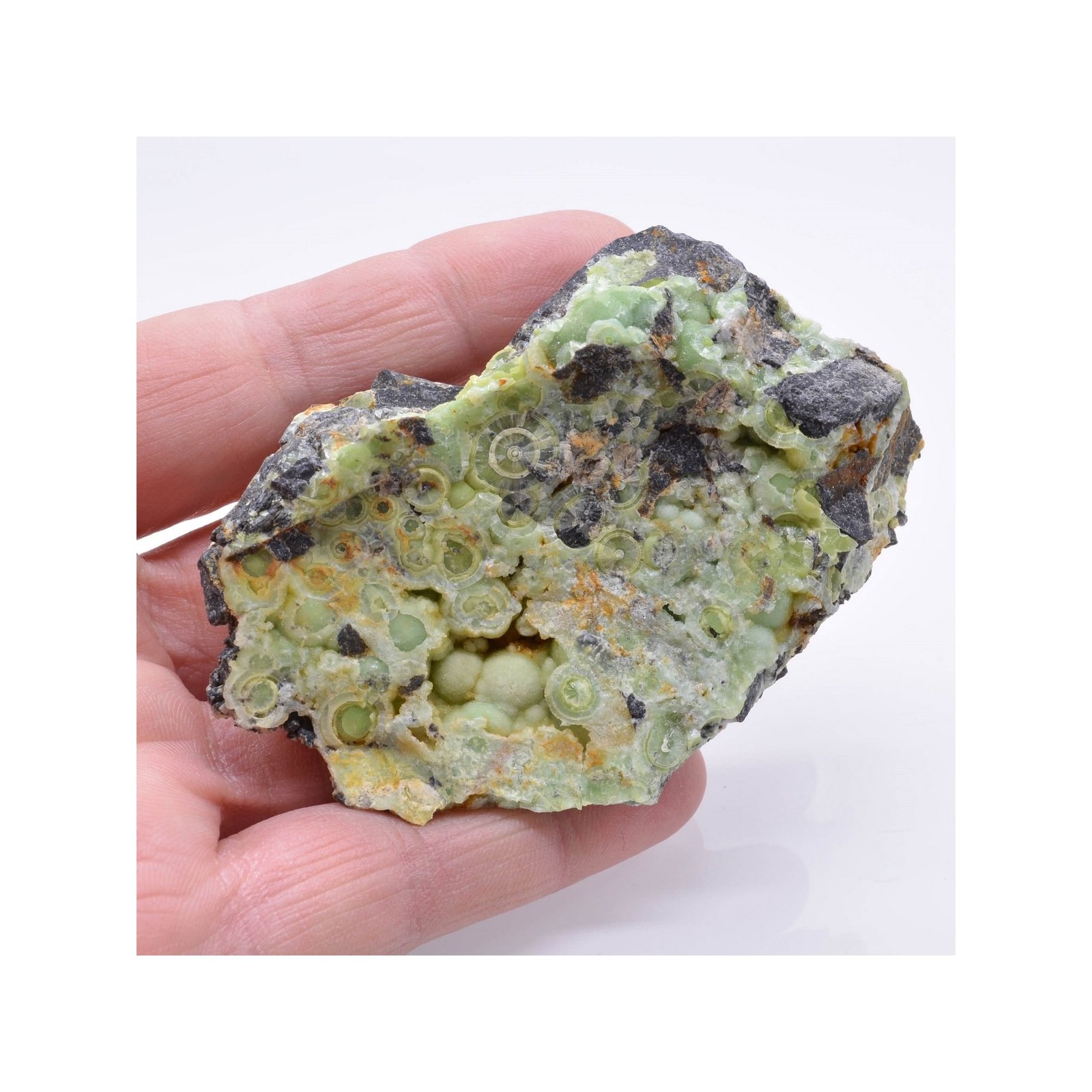Wavellite - Mauldin, Arkansas, USA