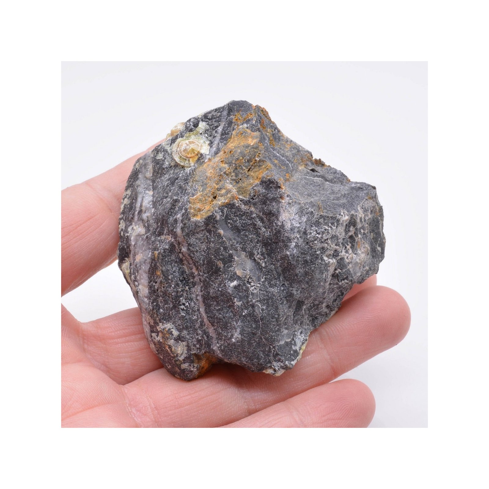 Wavellite - Mauldin, Arkansas, Etats-Unis