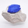 Azurite " sun " - Mine de cuivre Malbunka, Territoire du Nord, Australie