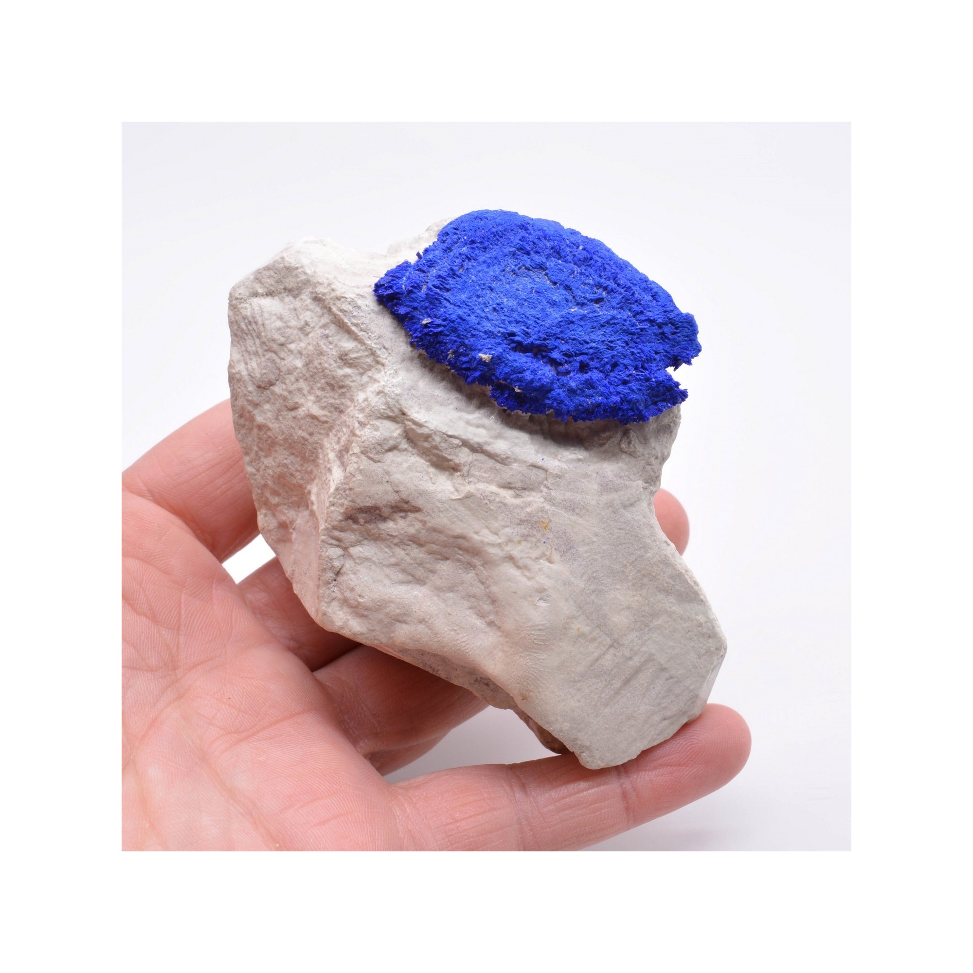 Azurite " sun " - Mine de cuivre Malbunka, Territoire du Nord, Australie