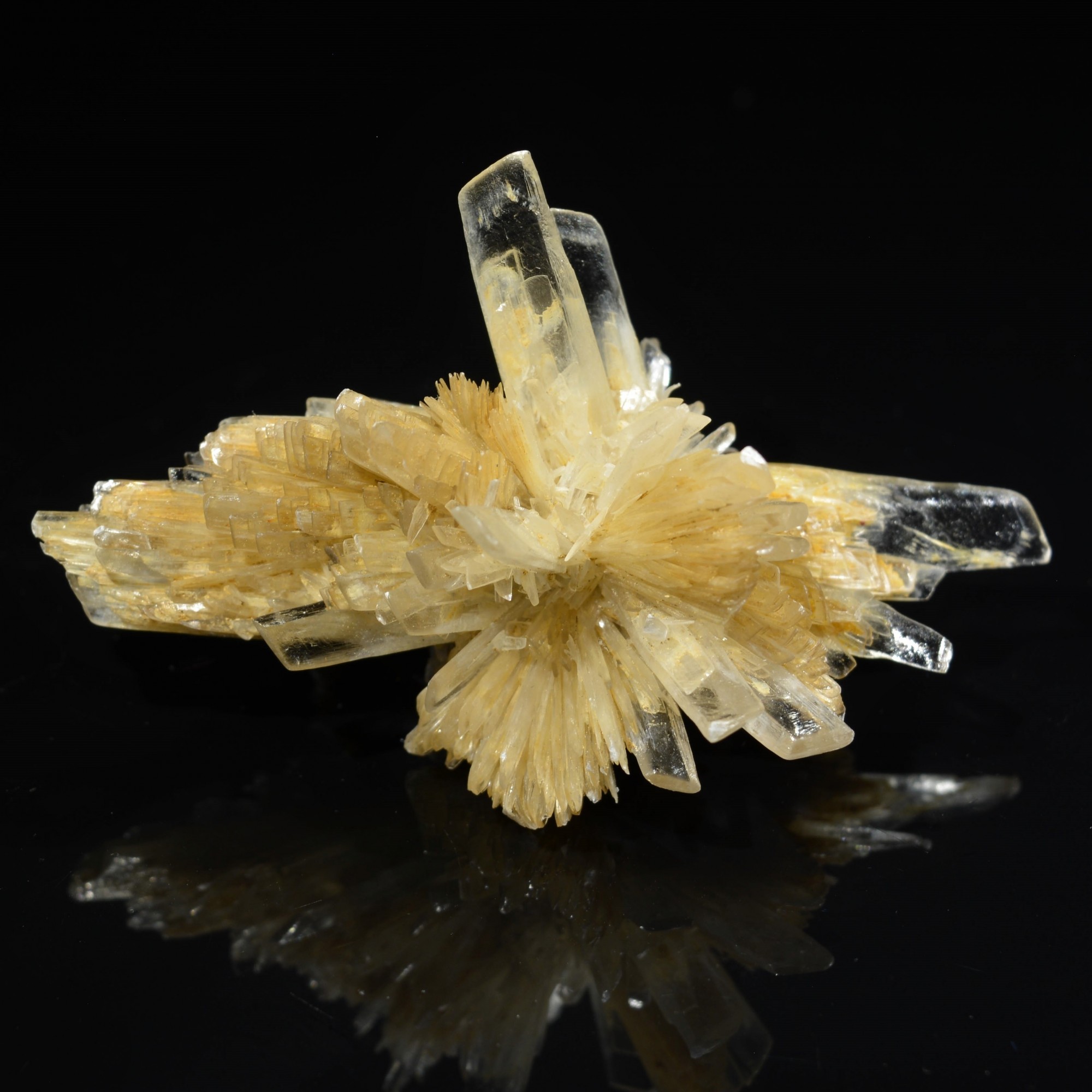 Gypsum - Angervilliers, Essonne, France