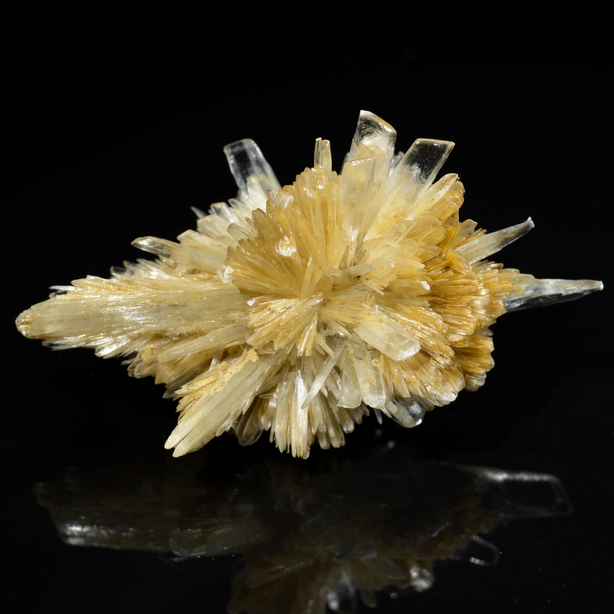 Gypsum - Angervilliers, Essonne, France