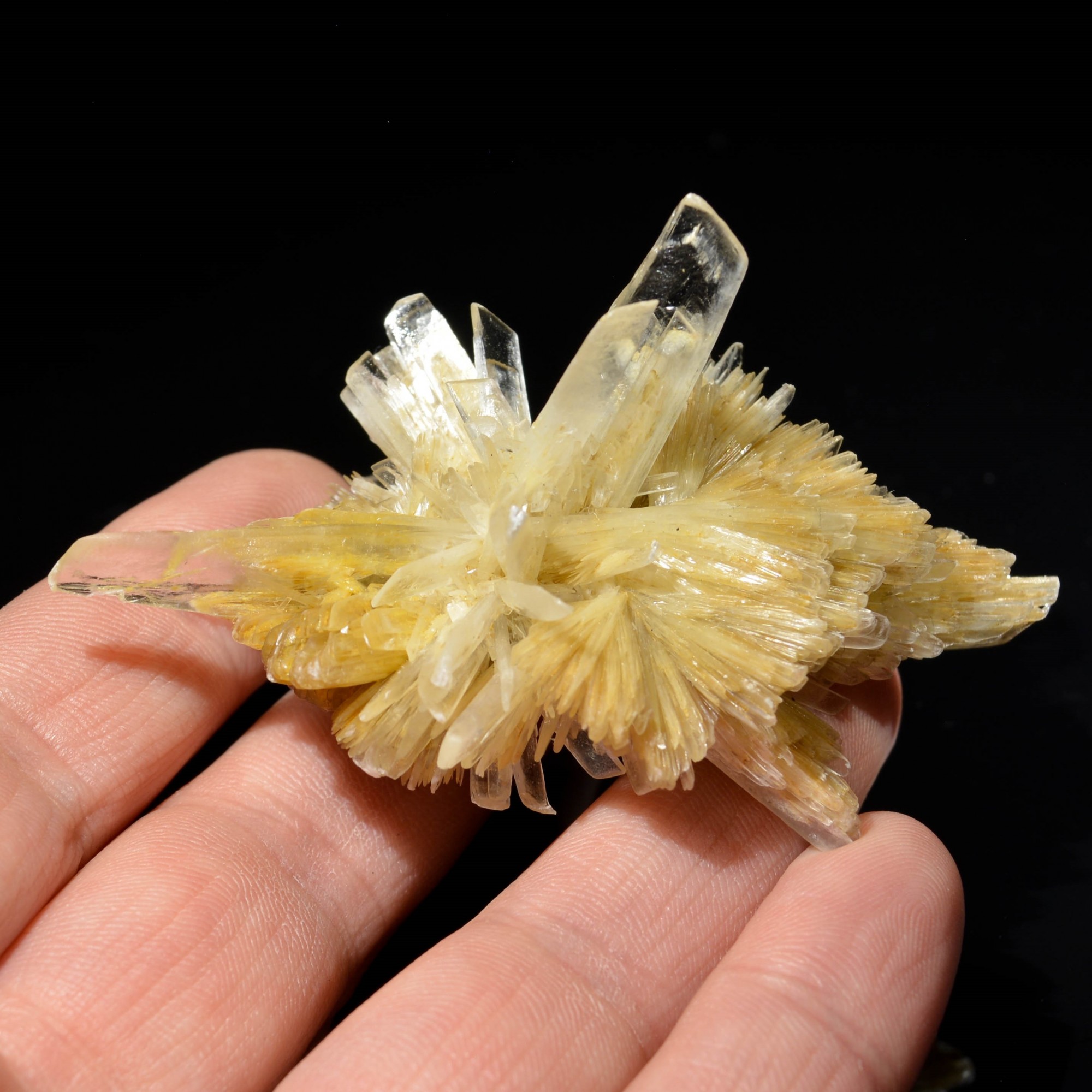 Gypsum - Angervilliers, Essonne, France