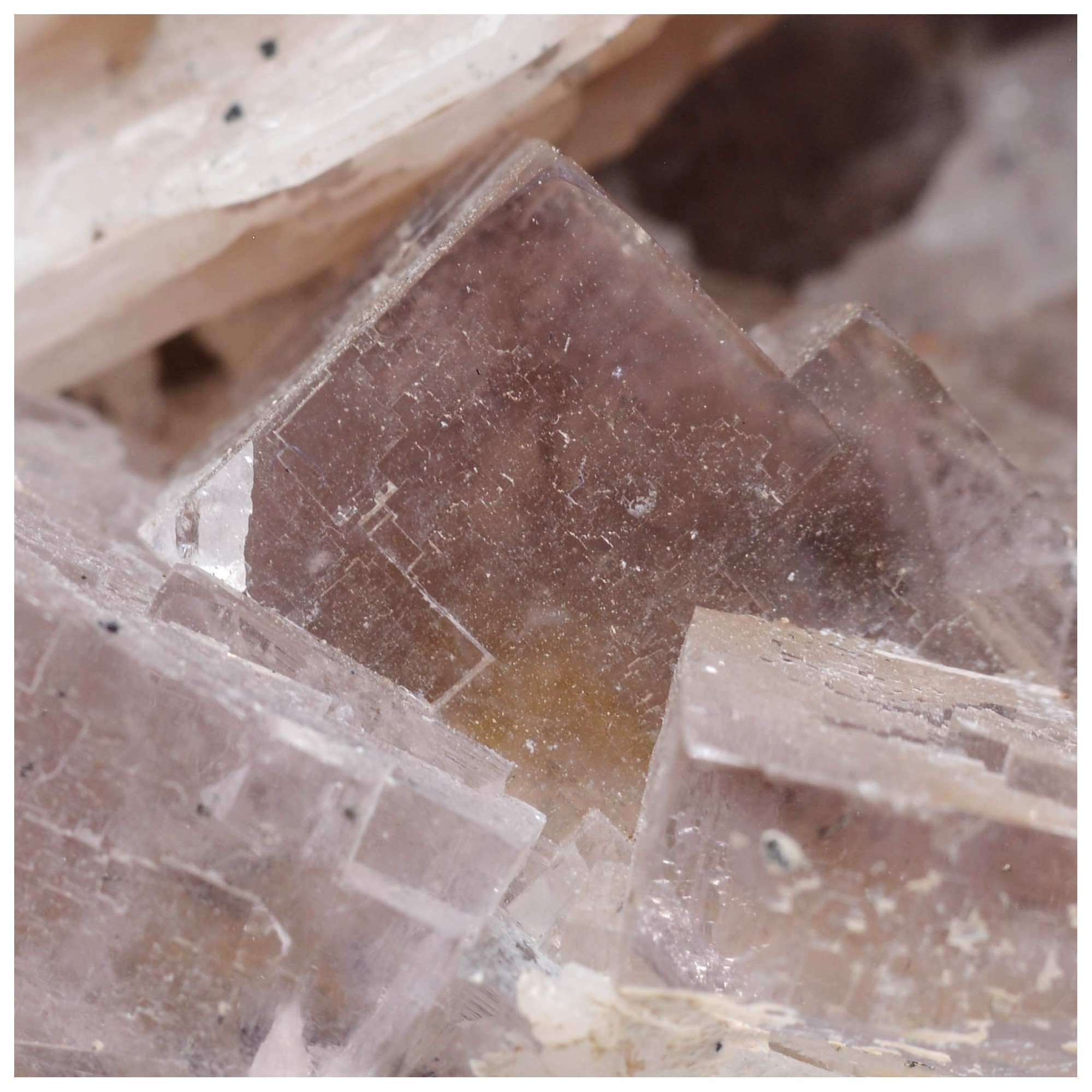 Fluorite and barite - Rossignol mine, Chaillac, Indre, France