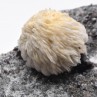 Barite " pompon " - Les Malines mine, Saint-Laurent-le-Minier, Gard, France