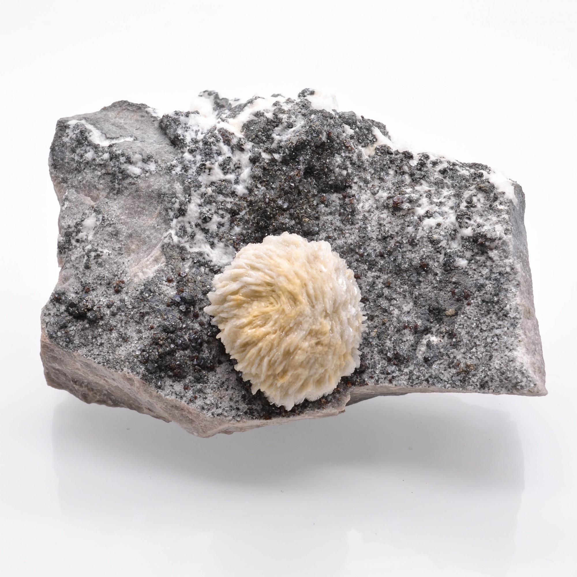 Barite " pompon " - Les Malines mine, Saint-Laurent-le-Minier, Gard, France