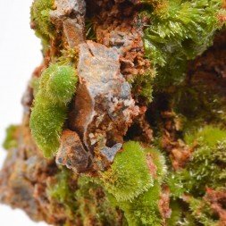 Pyromorphite - Saint-Salvy-de-la-Balme, Tarn, France