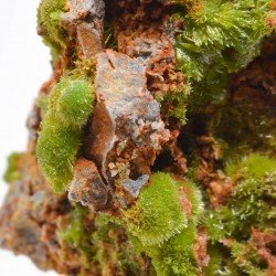 Pyromorphite - Saint-Salvy-de-la-Balme, Tarn, France