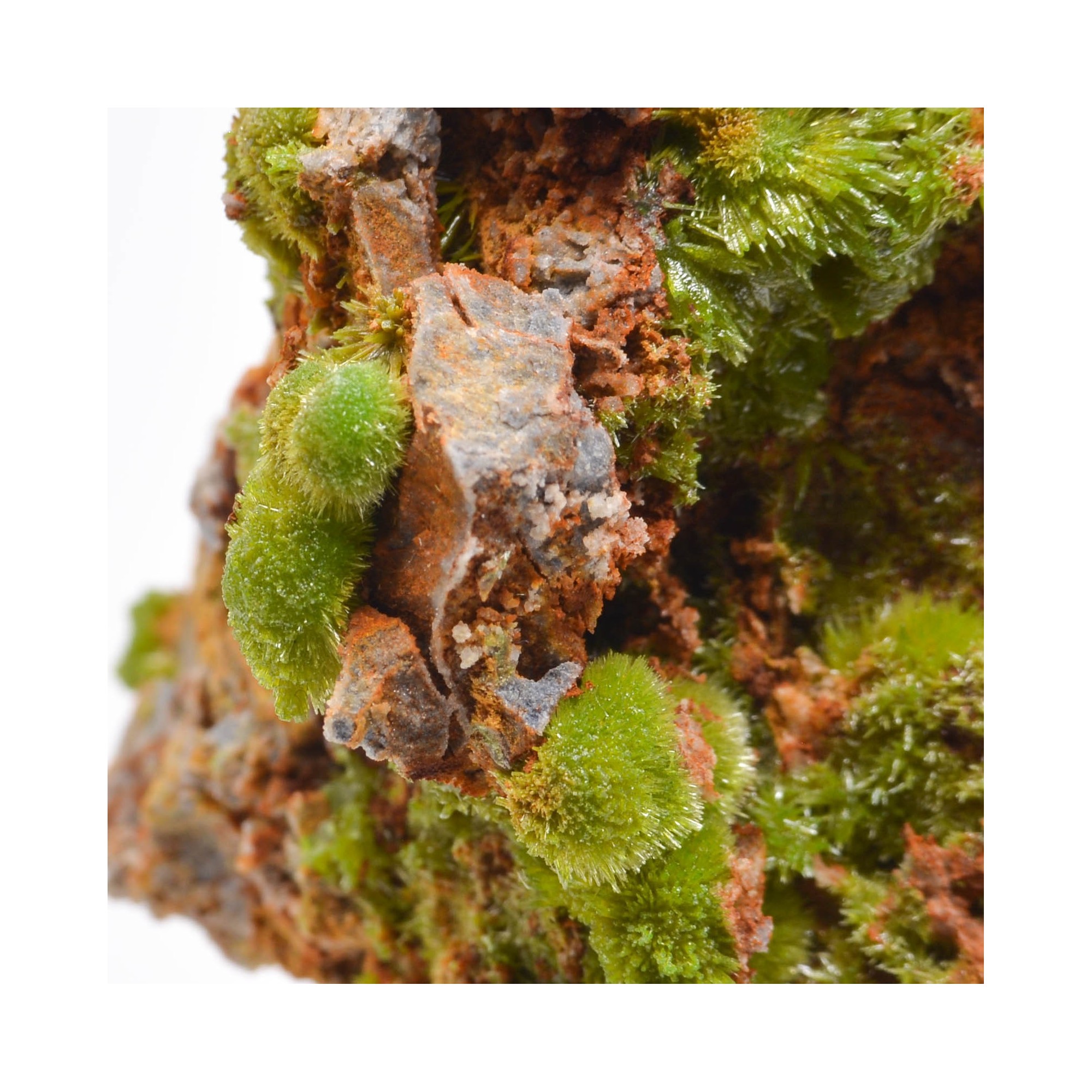 Pyromorphite - Saint-Salvy-de-la-Balme, Tarn, France