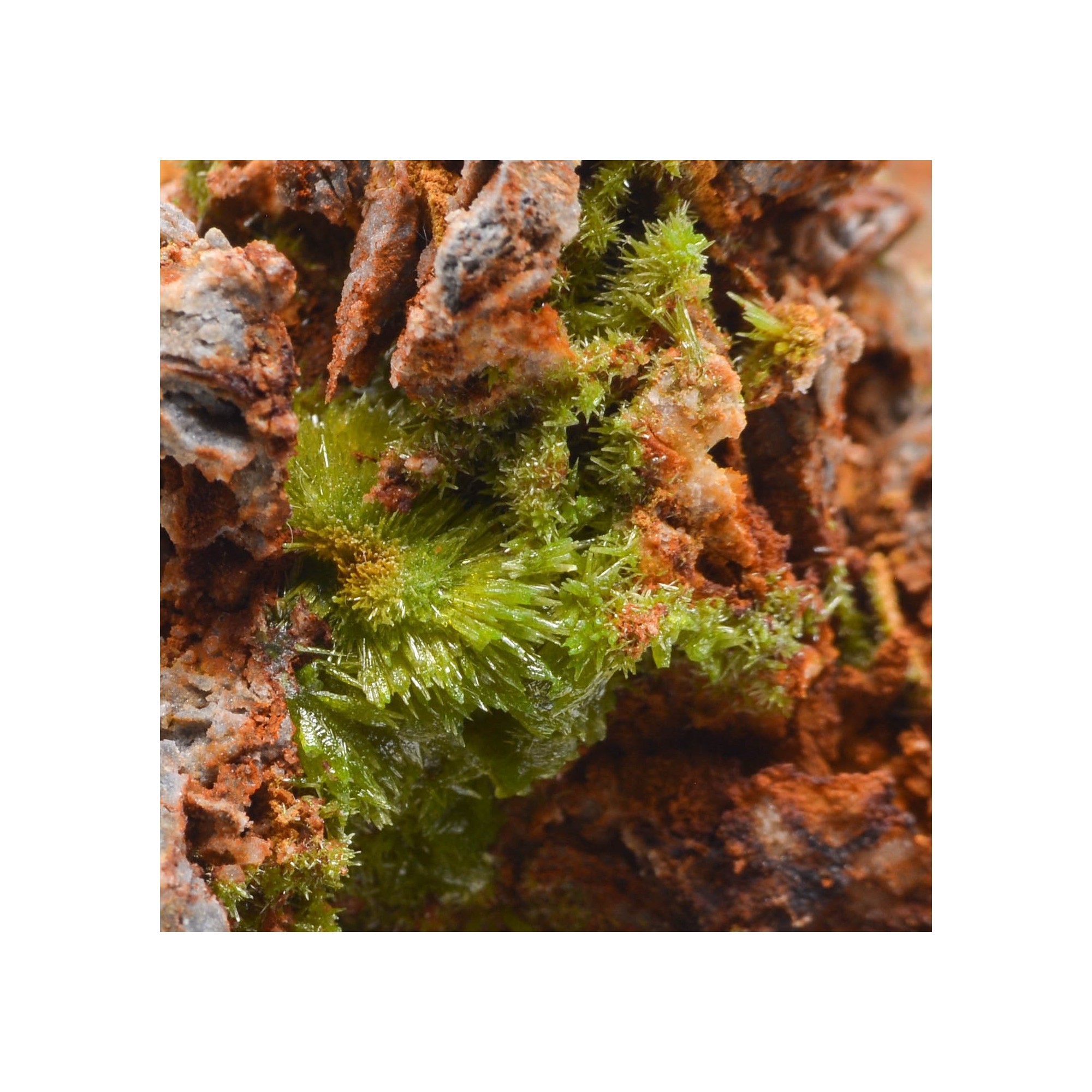 Pyromorphite - Saint-Salvy-de-la-Balme, Tarn, France