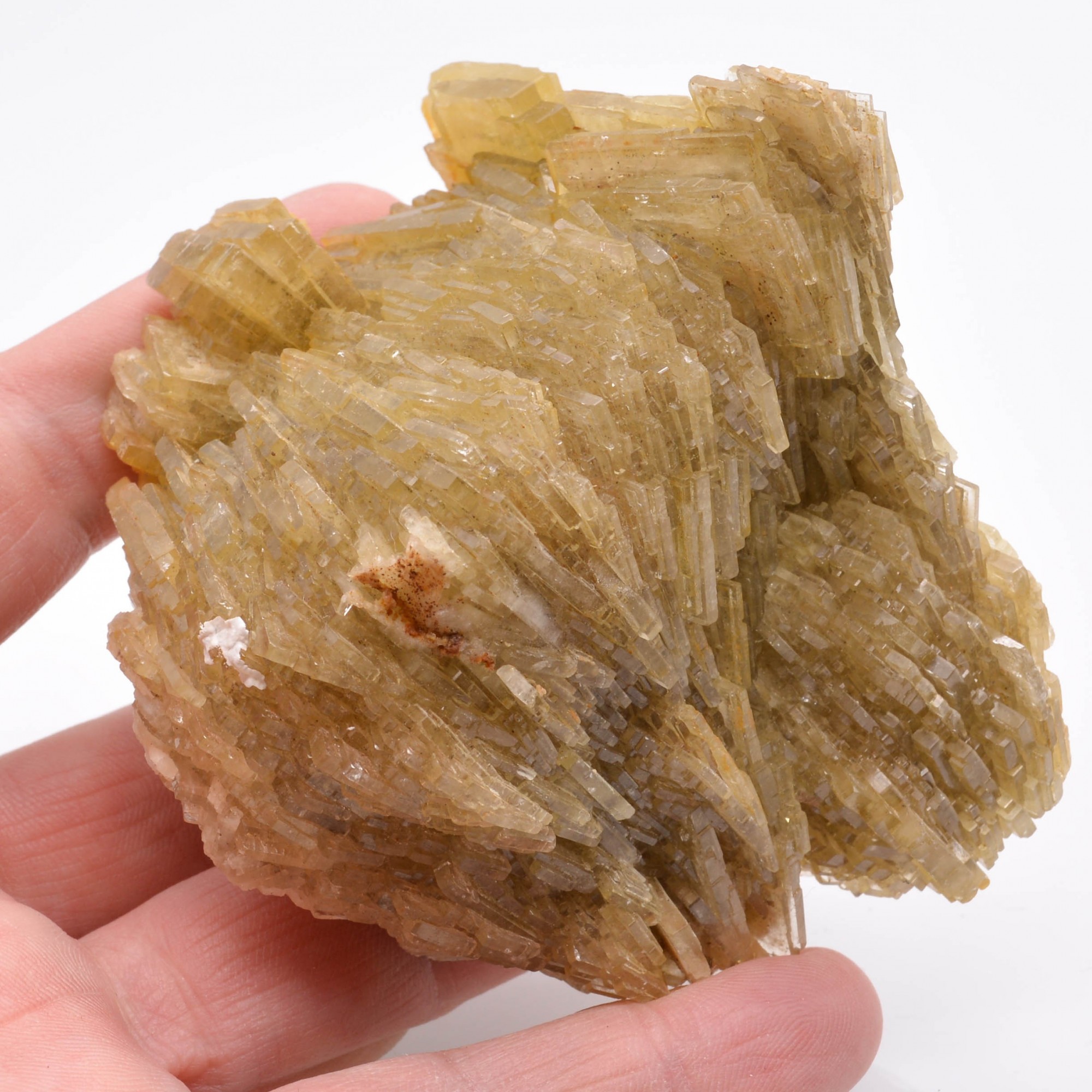 Barite - Le Pradal, Bédarieux, Hérault, France