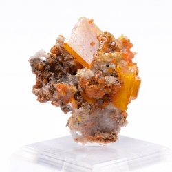 Wulfenite & mimetite, Shah Milleh Mine, Persia