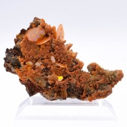 Wulfenite, minium & mimetite, Shah Milleh Mine, Persia.