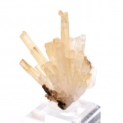 Aragonite - Mamsa, Sidi Ayed, Province de Boulemane, Maroc