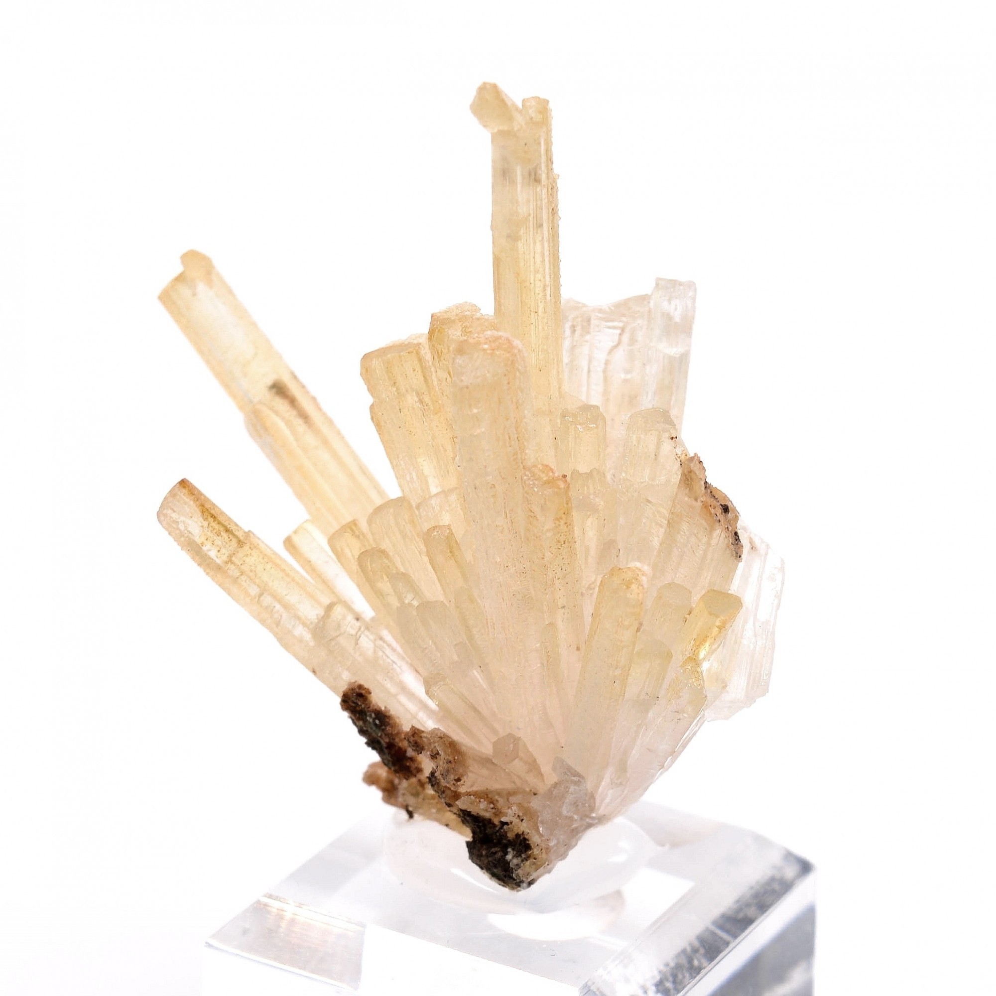 Aragonite - Mamsa, Sidi Ayed, Province de Boulemane, Maroc