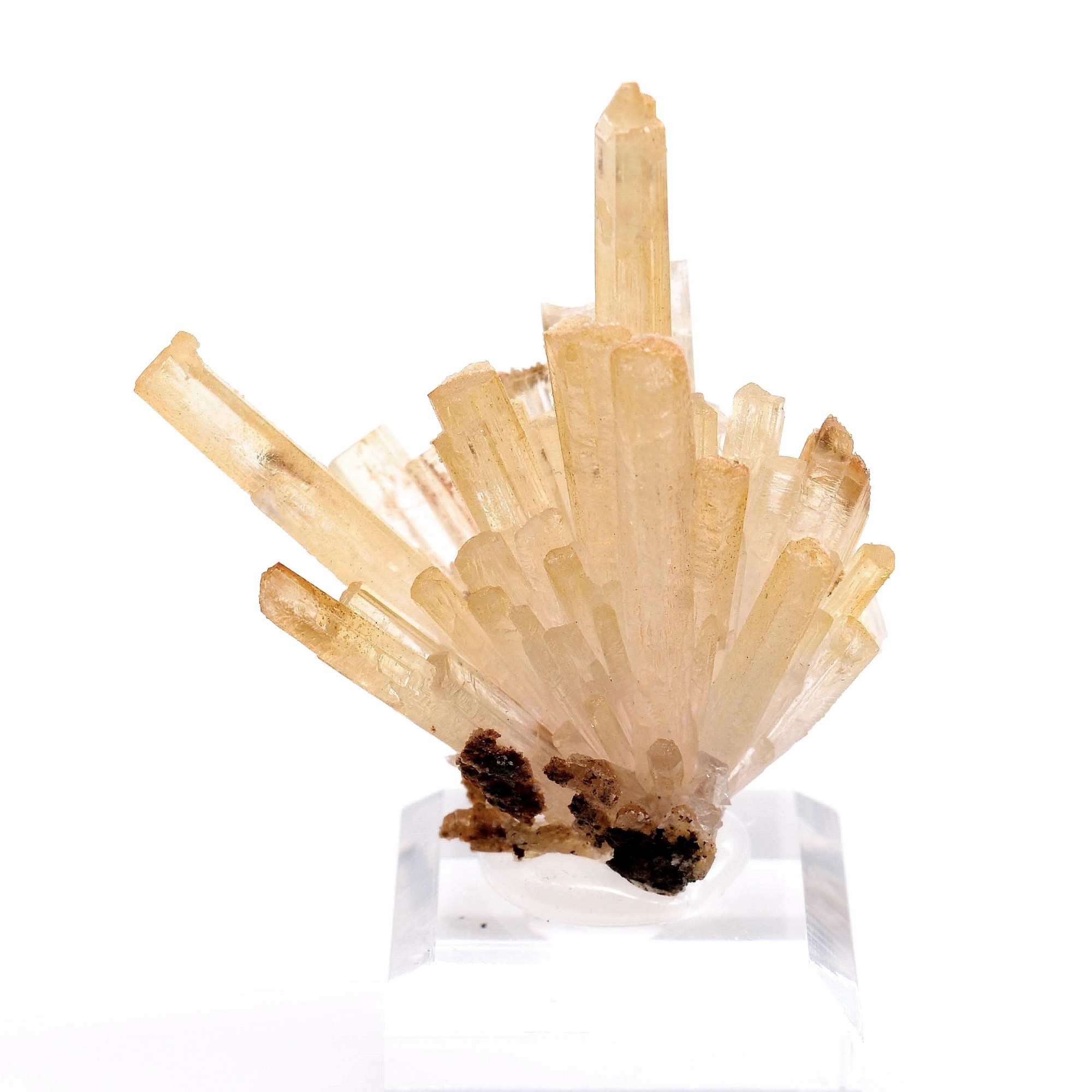 Aragonite - Mamsa, Sidi Ayed, Province de Boulemane, Maroc