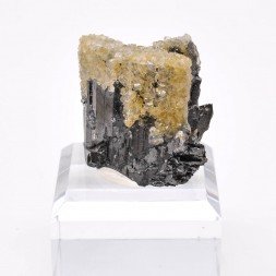 Apatite on ferberite - Panasqueira, Portugal