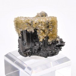Apatite on ferberite - Panasqueira, Portugal