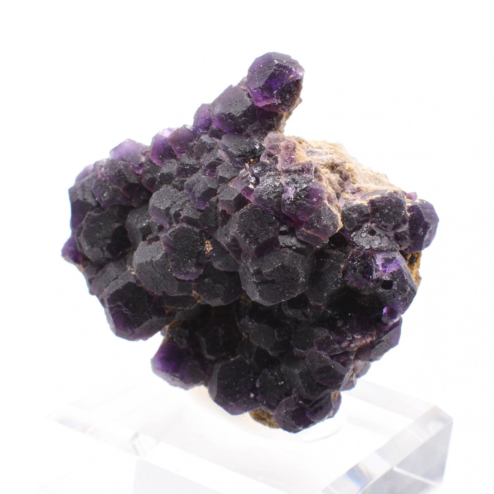 Fluorine - Foisches, Ardennes, France