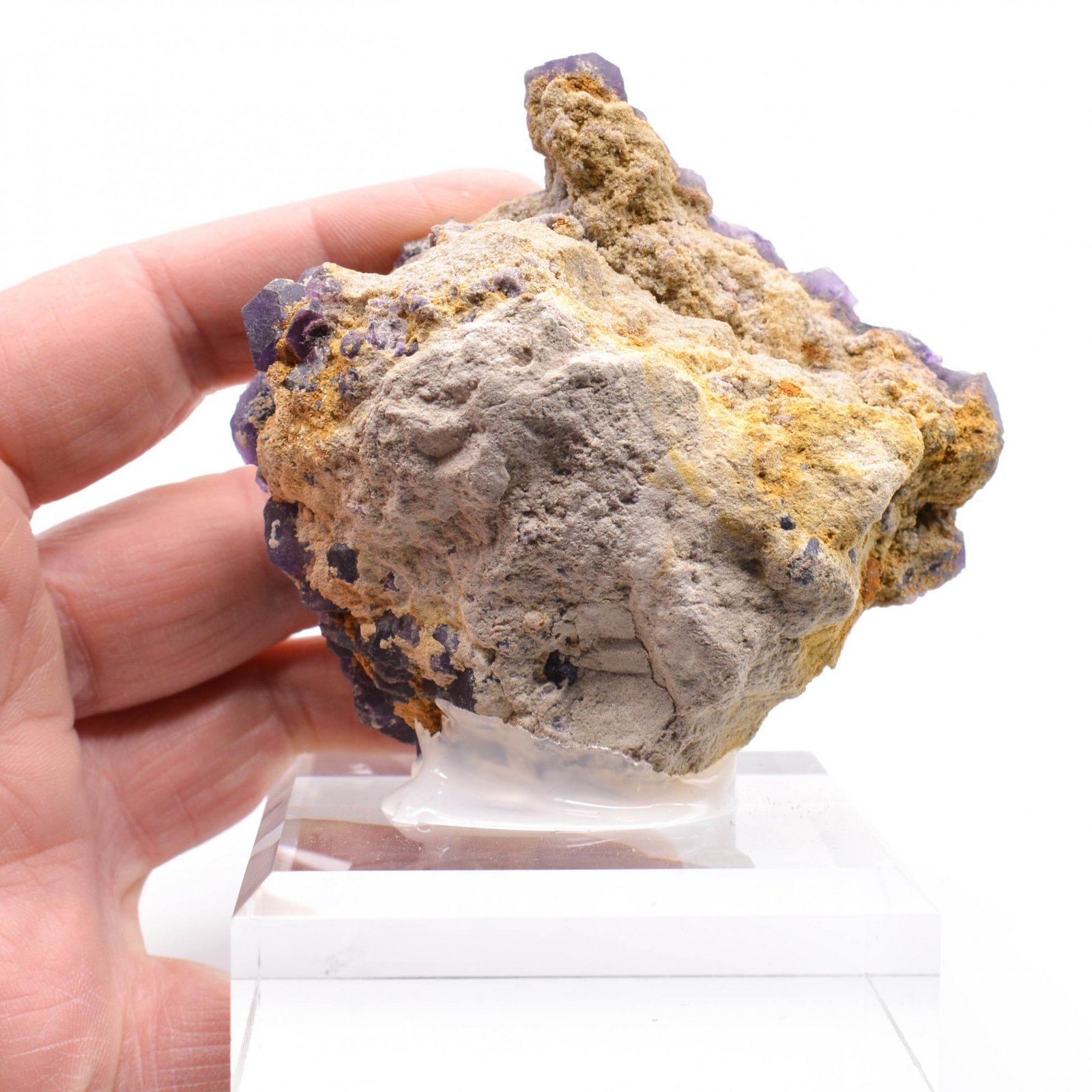 Fluorine - Foisches, Ardennes, France