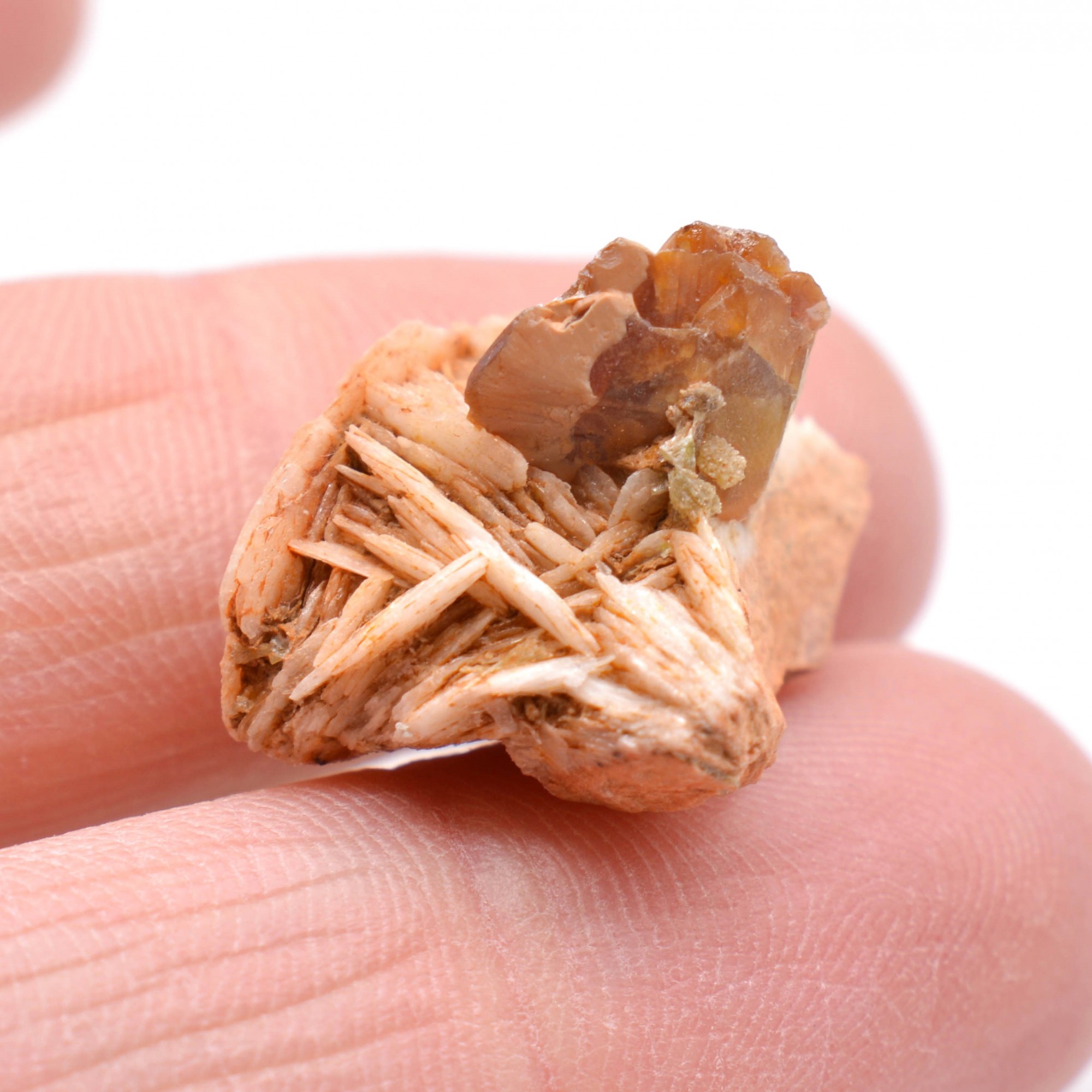 Wulfenite on barite - Lantignié, Rhône, France