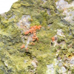 Pyromorphite and crocoite - Filon du cantonnier, Nontron, Dordogne, France