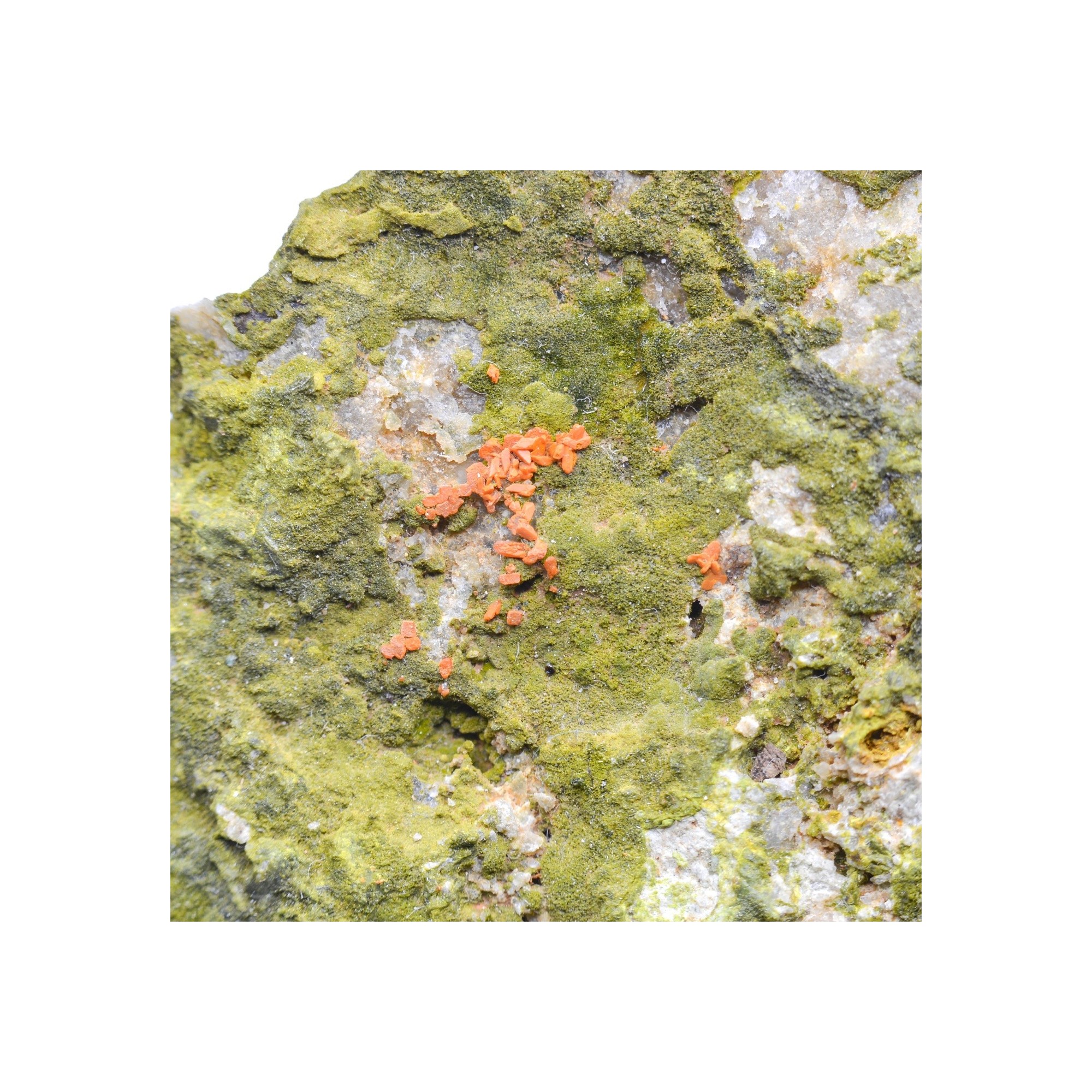 Pyromorphite and crocoite - Filon du cantonnier, Nontron, Dordogne, France